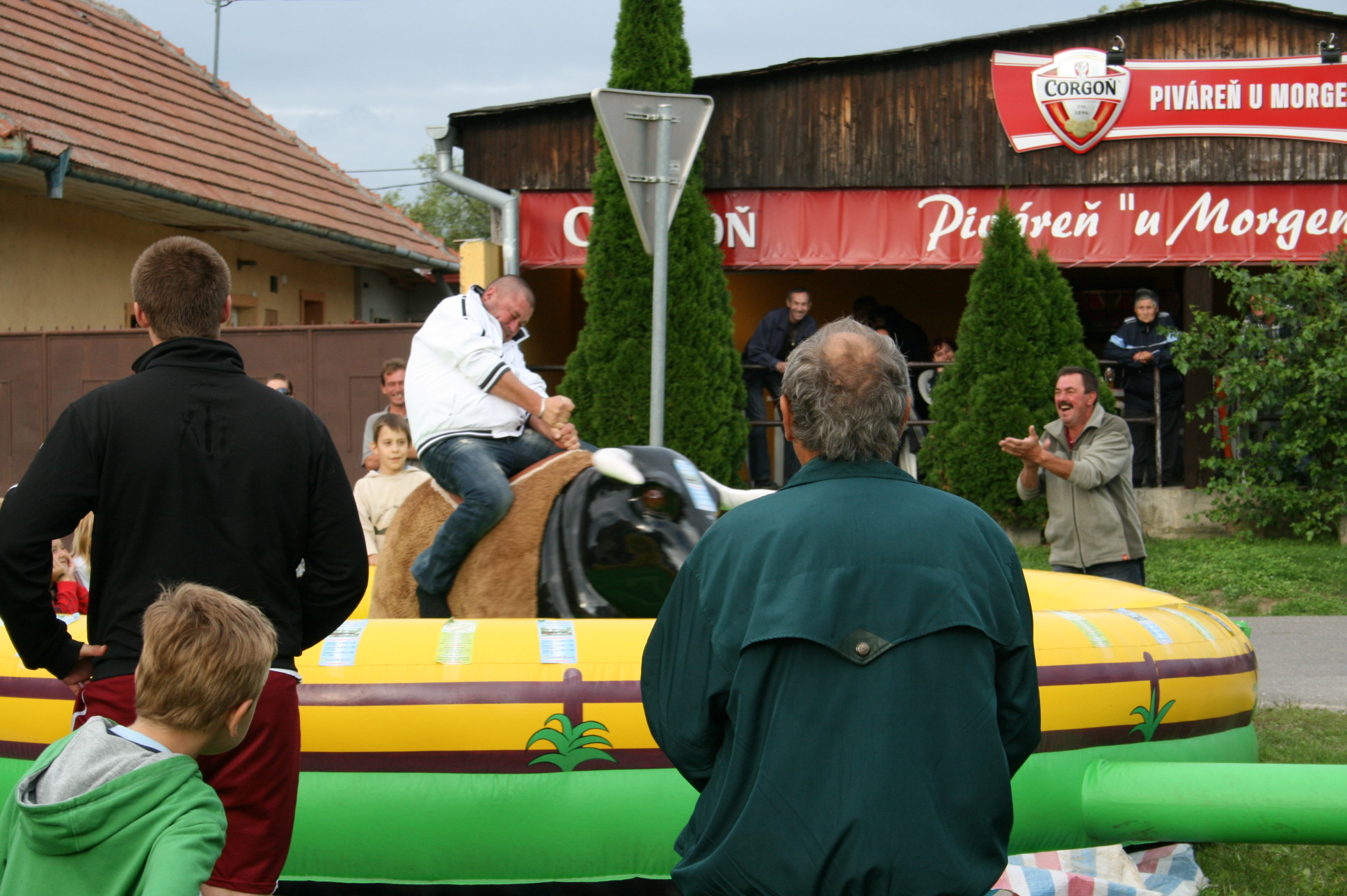 Fotogaléria Kultúrne dedičstvo našich predkov - Ródeo býk dospelí (6) Kultúrne dedičstvo našich predkov - Ródeo býk dospelí